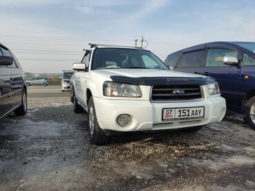 subaru outback белый: Subaru Forester: 2003 г., 2 л, Автомат, Бензин