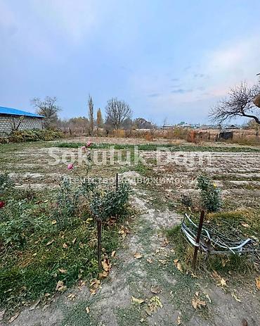 1: 🏠Продается дом в с. Сокулук, от трассы 1 км. 🟡 Комнаты: 4 🟡 Участок — 3