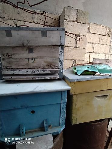 Arıçılıq üçün taxta pətəklər - Material: qalın taxta, künclərdə metal