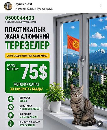 обувь кросовки: Пластиковые и алюминиевые окна - Цена: от 75$ - Высокое качество по — 1