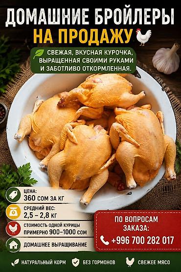 Домашняя тушка курицы (целиком) - Целые потрошёные, очищенные тушки