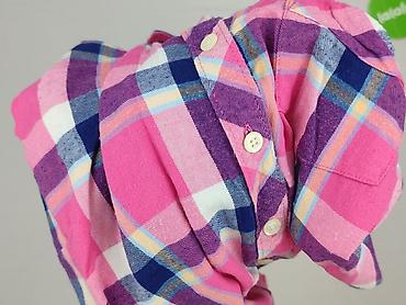 pony: Eddie Bauer, Koszula damska, rozmiar S — 6