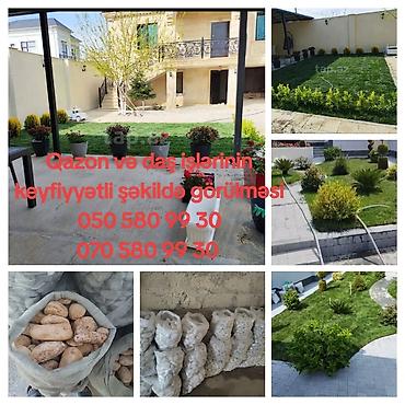 landşaft: Qazon və landşaft abadlaşdırılması xidməti - Həyətyanı sahələr, bağ — 1