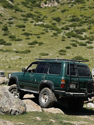тлк 80: Toyota Land Cruiser: 1993 г., 4.2 л, Механика, Дизель, Внедорожник — 9