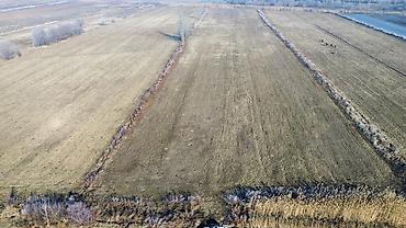 Продажа участков: 280 соток, Для сельского хозяйства — 6