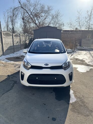 Kia: Kia Morning: 2020 г., 1 л, Автомат, Бензин, Хэтчбэк