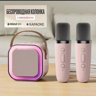 портативные колонки evromedia: Караоке. Беспроводная колонка с микрофоном. отличный подарок детям