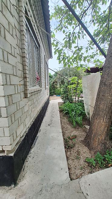 Продажа дачи: ☎️0•703•88•88•00 🌿 Продаются два участка по 5 соток в селе Бек-тоо На — 6