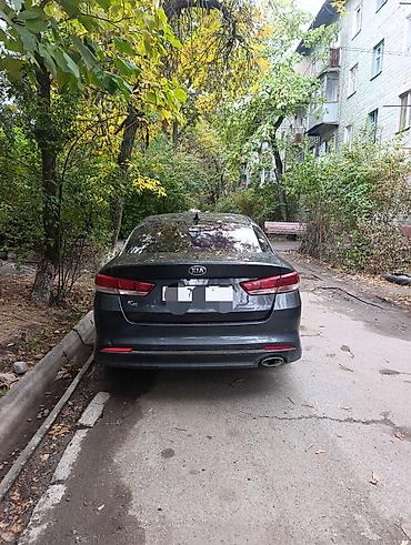 Kia K5: 2016 г., 2 л, Автомат, Газ, Седан