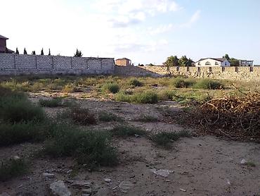 merdekanda torpag: 12 sot, Tikinti, Mülkiyyətçi, Kupça (Çıxarış) — 2