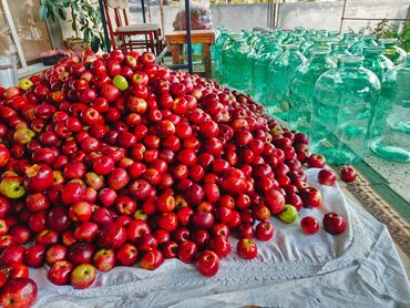 Souslar və ədviyyatlar: Evdə,təbii üsulla hazırlanmış(GMO-suz) Qəbələnin QIZILƏHMƏDİ — 9