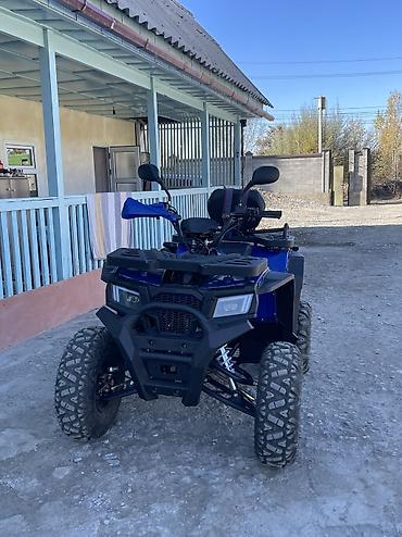 Квадроциклы: Квадроцикл Бензин, 250 куб. см, Взрослый — 6