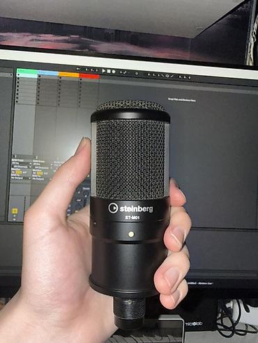 rant ace: Конденсаторный студийный микрофон Steinberg ST-M01 - Форм-фактор — 1