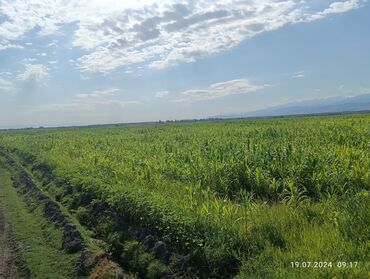 машинка для полировки фар купить: Срочно, срочно, Куплю Контейнер морской 40 тонник срочно срочно