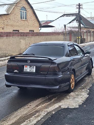 шипованная: Honda Accord: 1999 г., 2 л, Автомат, Газ, Седан — 1