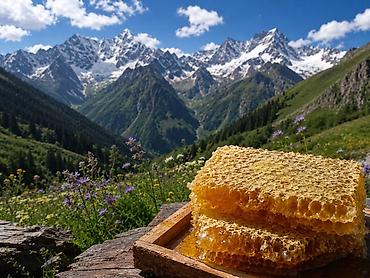 пчелы улья: Натуральный горный мёд 🍯 - Сотовые пласты, заполненные зрелым мёдом — 1