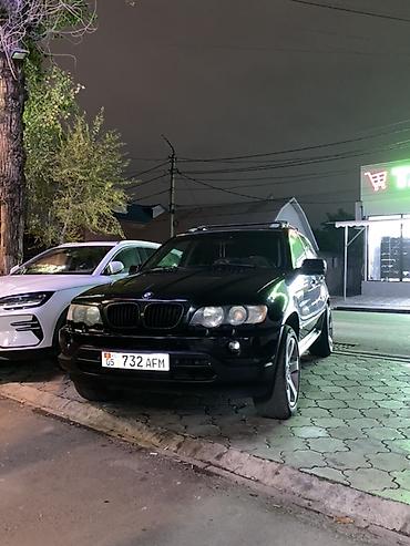 e53 губа: BMW X5: 2002 г., Кроссовер — 1