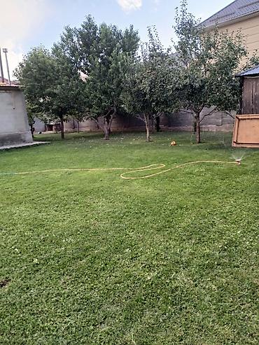 Кыймылсыз мүлк: 4 соток — 3