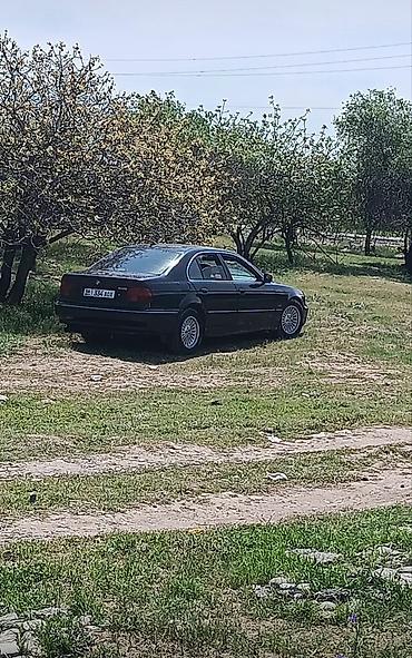 crown athlete 3 5: BMW 525: 2000 г., 2.5 л, Автомат, Бензин, Седан — 7
