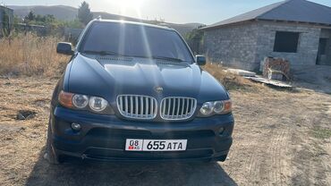 садовый измелчитель: BMW X5: 2004 г., 3 л, Автомат, Дизель, Внедорожник