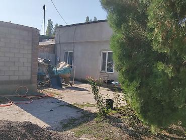 Кыймылсыз мүлк: 4 соток, Кызыл китеп — 4