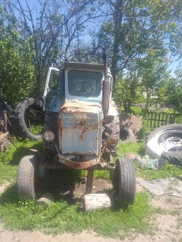 купить трактор мтз в беларуси: Чынгыз адрес Кемин Алмалууда баасы 120мин находу