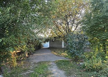 45: 🏡🔥 ПРОДАЁТСЯ ДОМ В ЦЕНТРЕ СЕЛА + 2,16 ГА ОРОШАЕМОЙ ЗЕМЛИ! 💰 ВСЁ ЗА $70 — 8