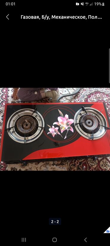 газовая печка: Elina, Газ, Механикалык, Полго орнотулма, Колдонулган, Толук төлөө