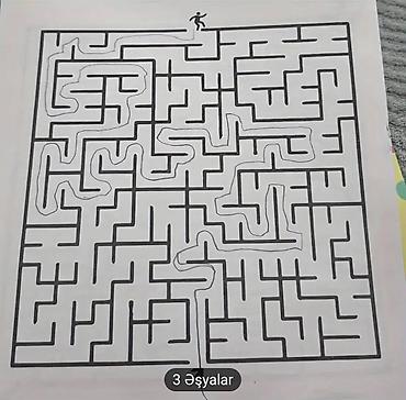 oyun disk: Maze Təlim Kitabı, Konsentrasiyaya, Tələbə Düşüncəsini və Diqqətini — 2