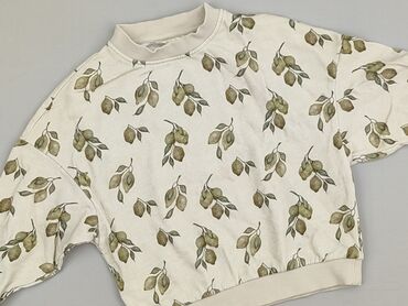 skarpety grene: Sweatshirt, 2-3 years, 92-98 cm, condition - Very good