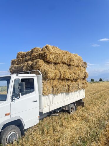ячмень цена: Продаю солому (пшеница ). село беловодск. звоните в любое время . По