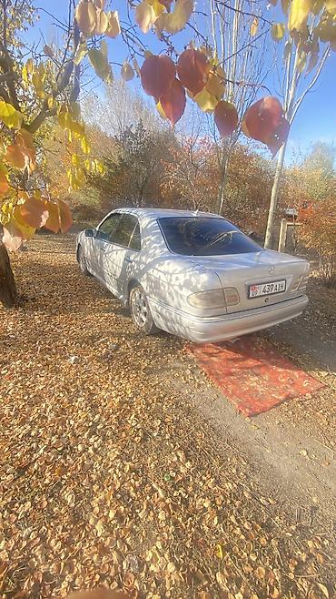 1000 к: Mercedes-Benz E-Class: 1996 г., 3.2 л, Автомат, Газ, Седан — 4