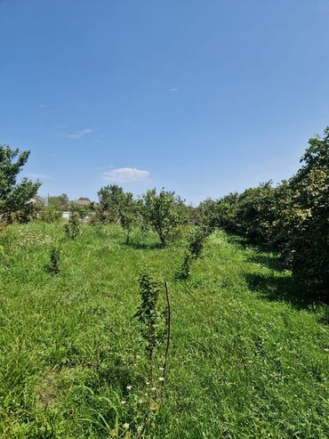 Bağ evlərinin satışı: Xaçmaz, 160 kv. m, 3 otaqlı, Su, İnternet, Qaz — 14