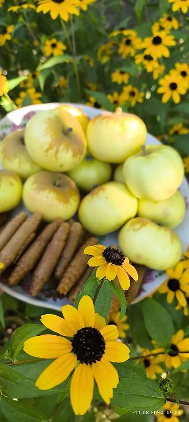 Здоровое питание: Продаю натуральную пастилу разных вкусов. Сделана в дегидроторе, при — 12