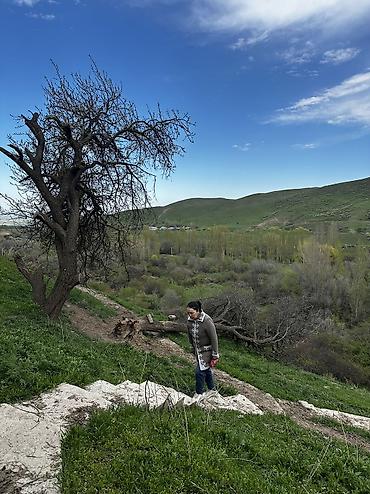 Туристические услуги: Отдых в горах с комфортом 🏔️ Уютные номера (люкс и стандарт) + сауна — 19