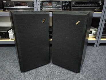 Zvučnici i stereo sistemi: Dynaudio scriptum 3 vrhunac skandinavskog dizajna i kvaliteta zvuka — 4