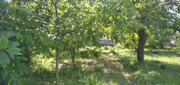 Torpaq sahələrinin satışı: 10 sot, Tikinti, Mülkiyyətçi, Kupça (Çıxarış) — 14