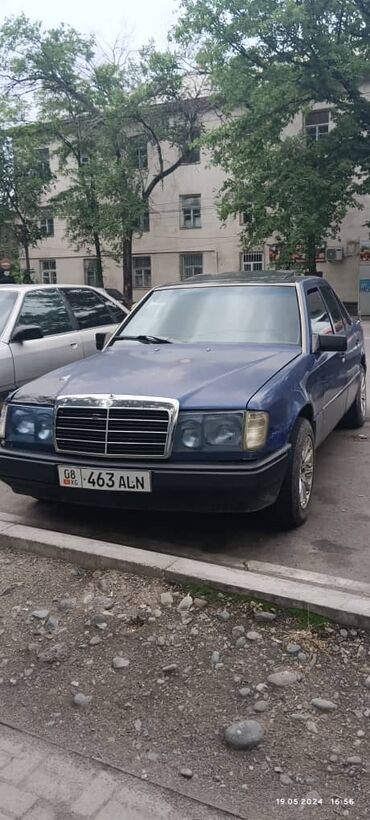 синий экскаватор: Mercedes-Benz 230: 1990 г., 2.3 л, Механика, Бензин, Седан