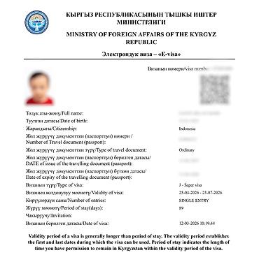 Туристические услуги: Визы в Кыргызстан, США, Японию и Шенген. Помогаю с оформлением виз в — 12