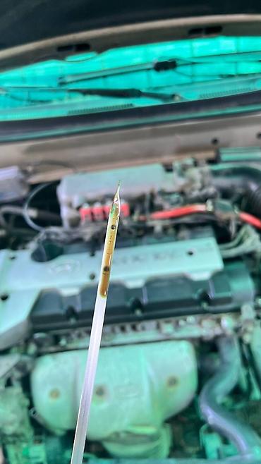 Унаа: Hyundai Elantra: 2001 г., 2 л, Кол менен иштөөчү, Бензин, Седан — 5