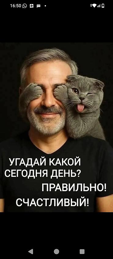the act: Выполняем мелкосрочные работы- стяжка, фундамент, штукатурка — 1