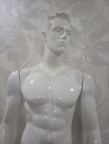 paltar vitrin: Kişi, Plastik, plastmas, Ağ — 3