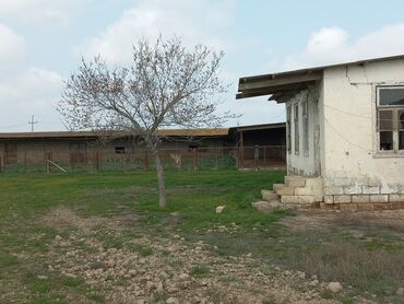 Torpaq sahələrinin satışı: Kənd təsərrüfatı — 8