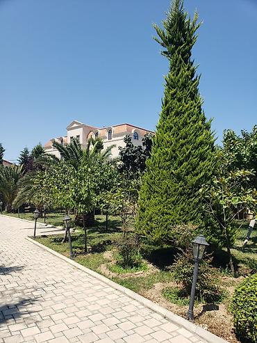 bina: Ayin 20 sinden bosdur bag evimiz — 5