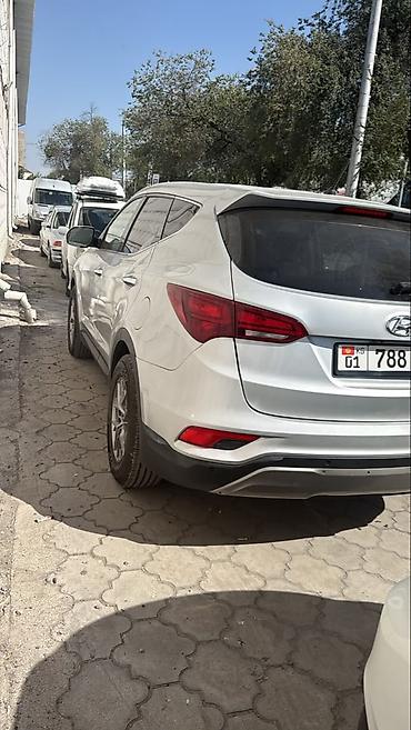 space runner: Hyundai Santa Fe: 2017 г., 0.2 л, Автомат, Бензин, Кроссовер — 4