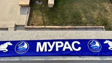 Шарфы, палантины: Изготавливаем на заказ Шарфы для фанатов, съездов политических партий — 16