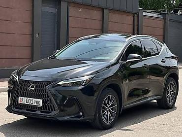 номер аксион: Лобовое стекло на Lexus NX -350 2022 год С проекцией и не большой — 1