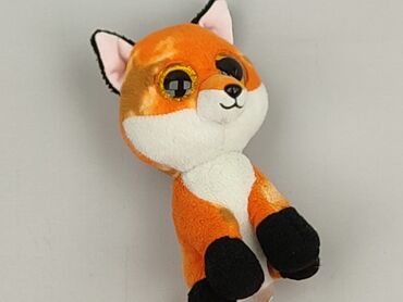 Mascot condition - Very good