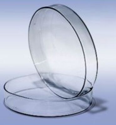 лабораторные посуда: Чашка Петри стеклянная 100х20 мм, с крышками Чашка Петри стеклянная