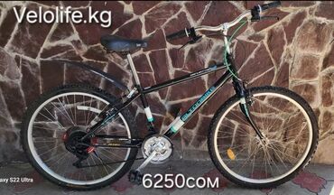 Горные велосипеды: Горный велосипед, Alton, Рама M (156 - 178 см), Сталь, Корея, Б/у